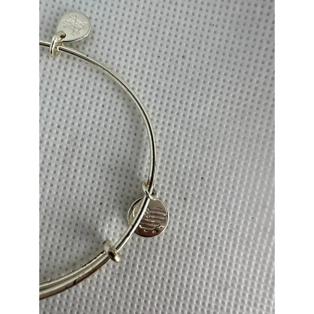 Alex + Ani Energy Charm Bracelet U.S. Army Star 2017 Silver